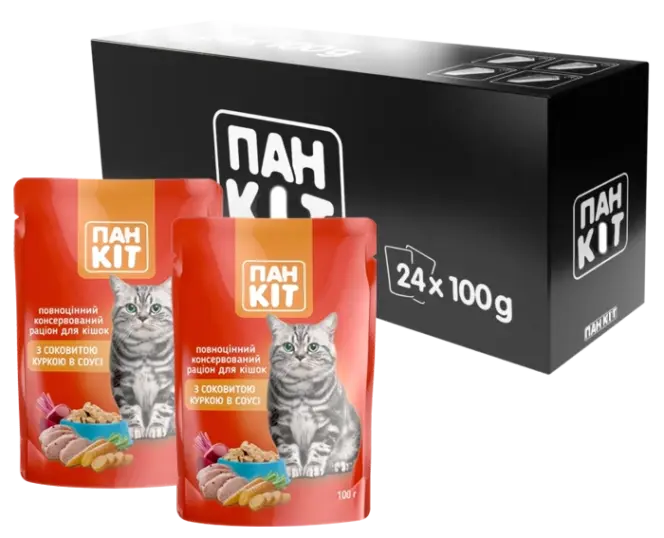 Пан Кот с сочной курицей в соусе — изображение 2
